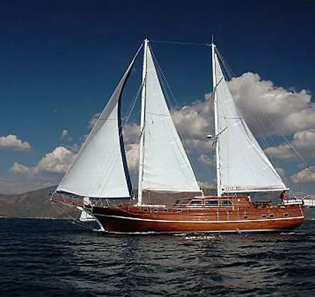 Barbaros Yachting Luxury Private Gulet 6 Cabins * Αλικαρνασσός
