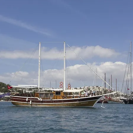 Πλωτό κατάλυμα Barbaros Yachting Luxury Private Gulet 6 Cabins
